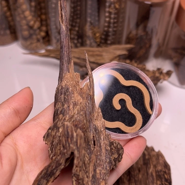 海南树心油壳子7克