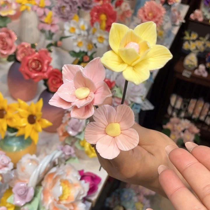 瓷片5588885558888885555