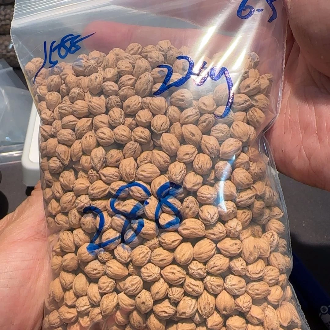柏香籽/百香籽吊坠爱****～6.5 220g