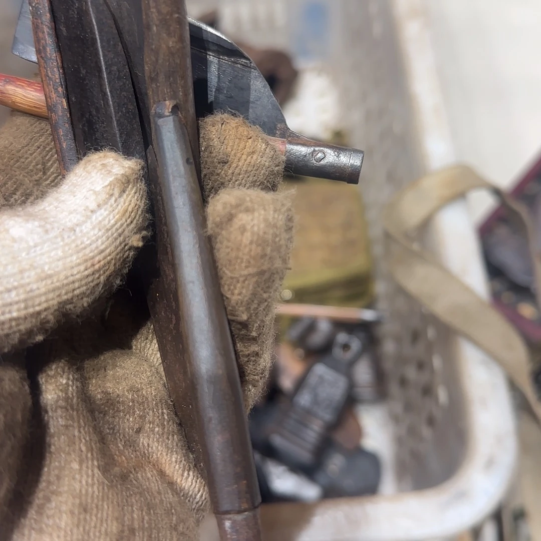 胡***晖一物一图看好在拍