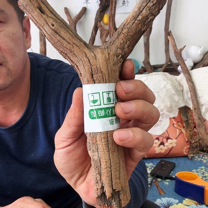 木长****学火琉璃弓叉原叉