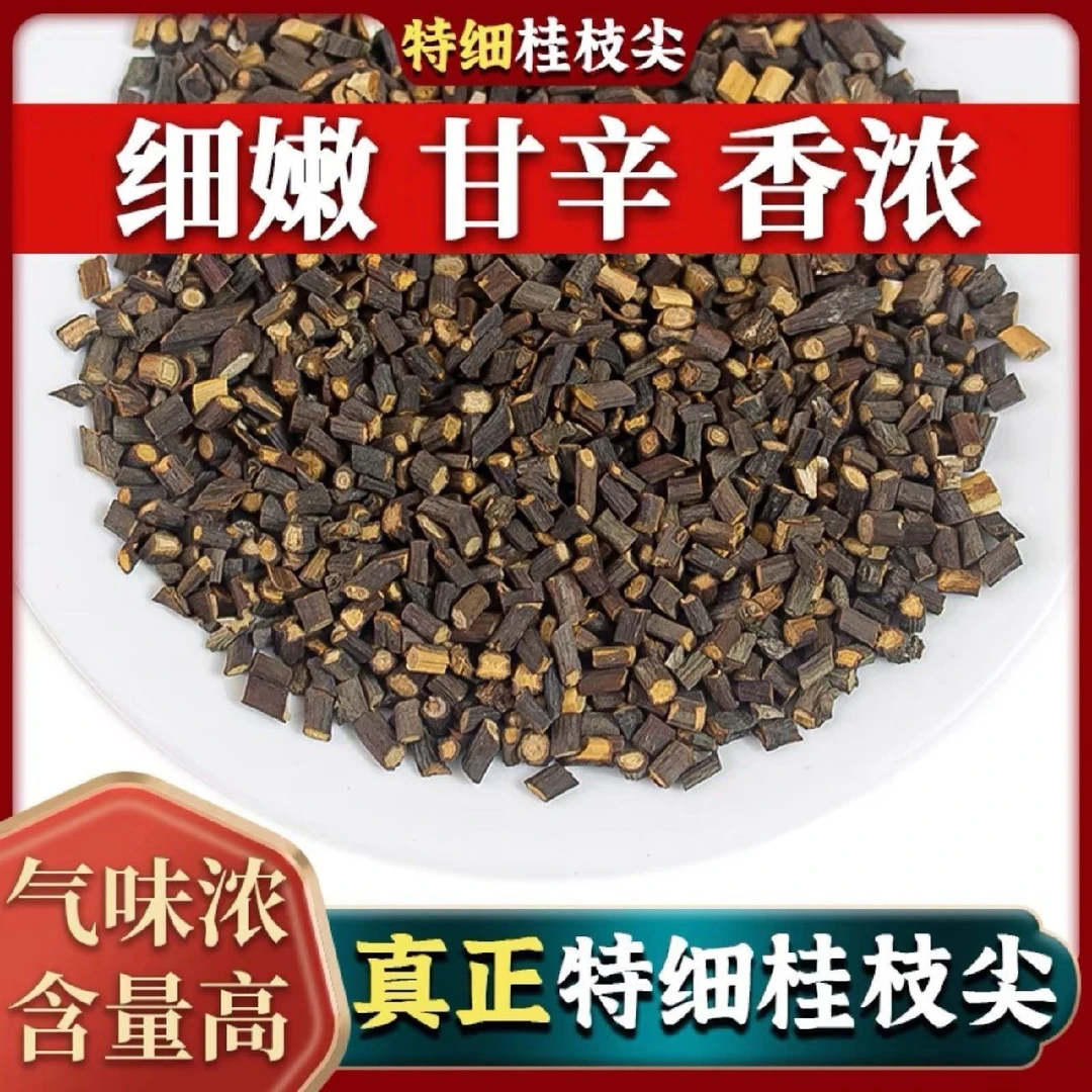 桂枝 精选广西桂枝嫩尖