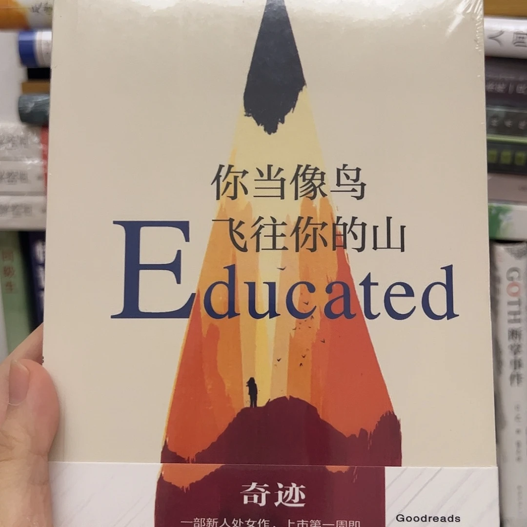 你当象鸟飞向你的山
