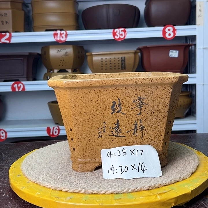 紫砂花盆蛇年大吉