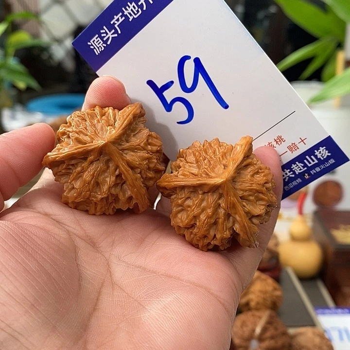 文玩核桃把件39手盘天然盘山矮桩奔59号
