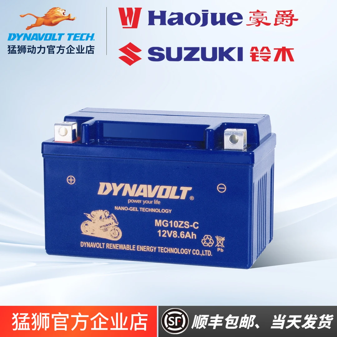 铃木豪爵GW250F/SDL250GSX250/RGW300GSX150RDR250/猛狮12V蓄电池