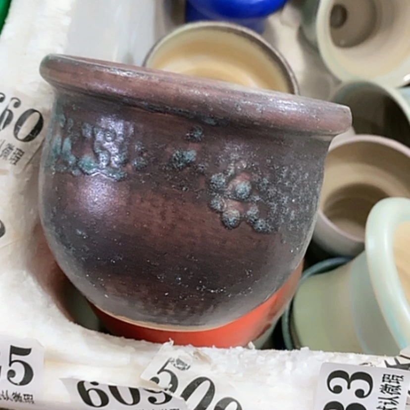 【闪购商品】红陶口9.5