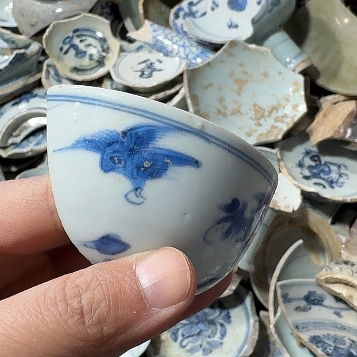 奥***l瓷片瓷片标本，顺丰包邮