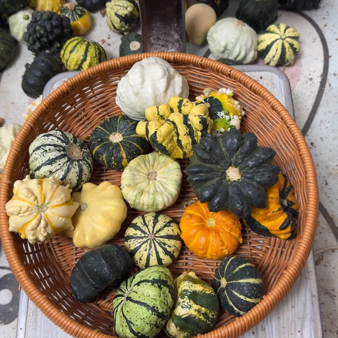 温**叔葫芦啊啊啊啊啊啊啊啊啊