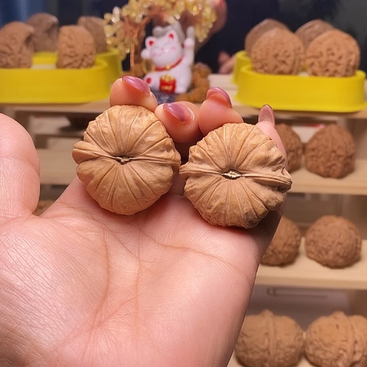 40尺寸的南瓜墩核桃