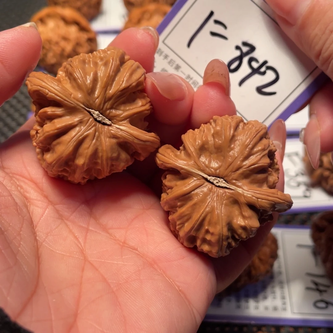 文玩核桃把件842号白狮子40