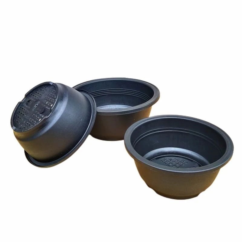 20黑色韩盆口19厘米高9厘米多肉专用盆