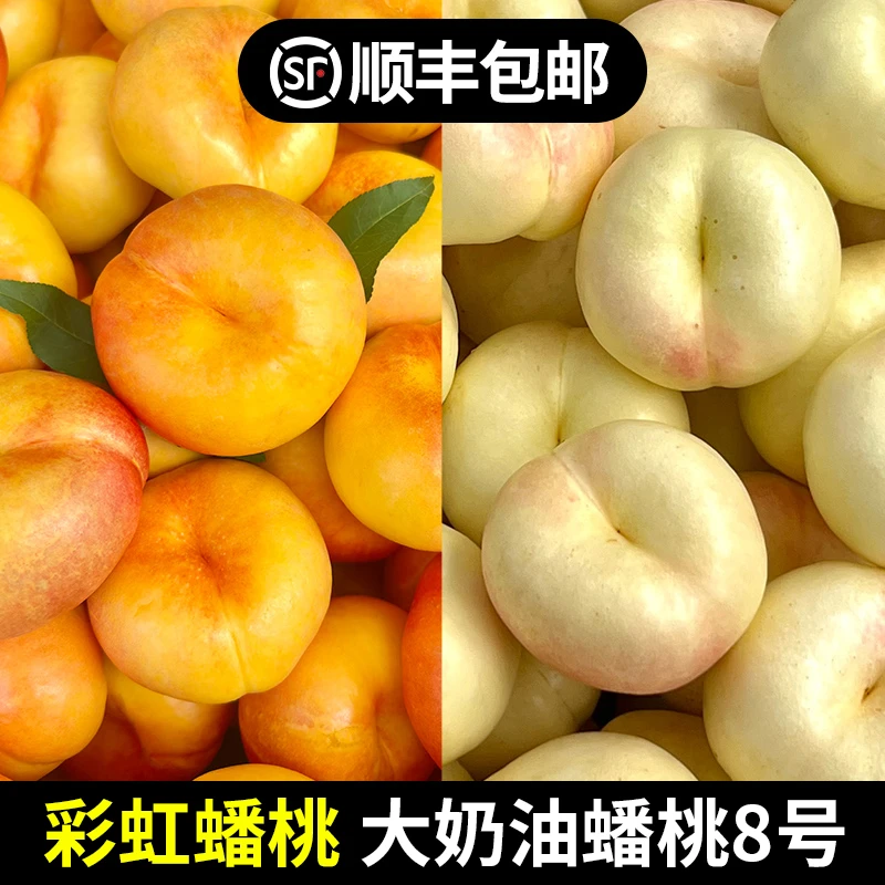 早奶油蟠桃稀有品种蒙阴产地蜂蜜味奶油白蟠桃子山东省