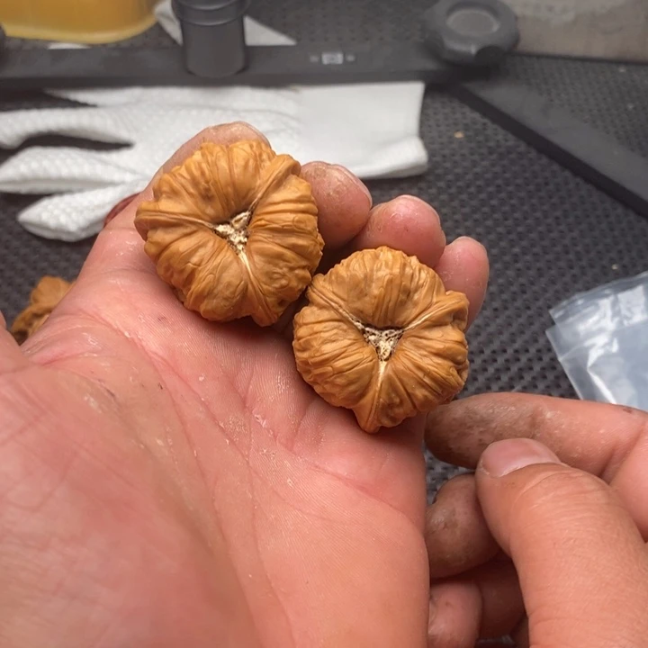 核桃把件小*.拼接南瓜墩10