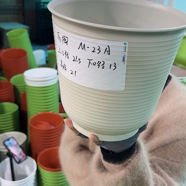 正品高陶口21高21米色无托6只