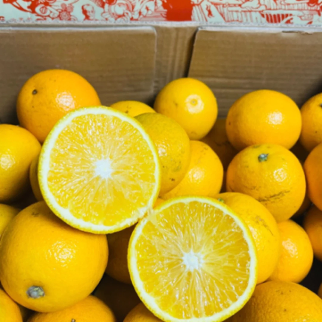 云南云冠橙冰糖橙6枚装，下单送。每个ID限一单，不拍不送