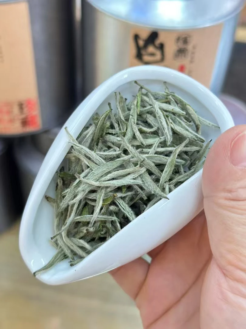 白毫银针白茶热遍批白毫毫香花香蜜香清甜茶汤鲜甜
