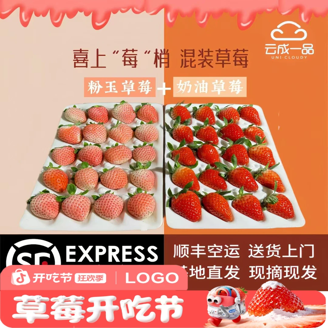 【草莓开吃】云南高原露天草莓双拼1.1斤共2盒明日达