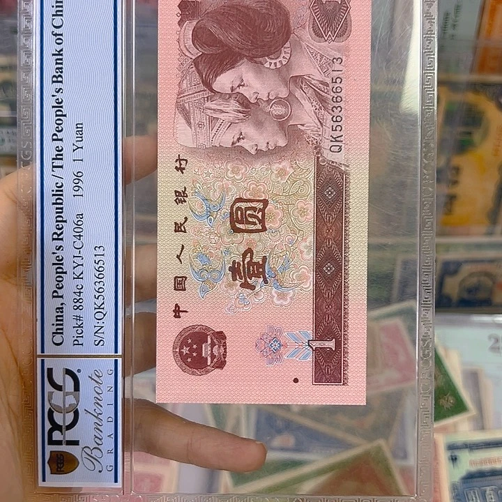 孙***科11名848252阿啊阿啊阿啊