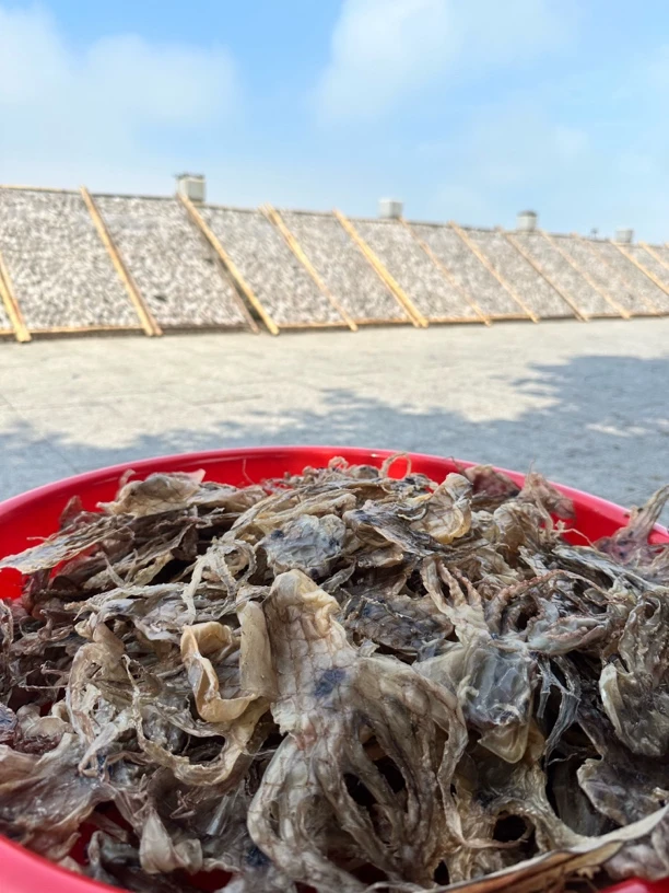 碣石本港章鱼干 小八爪鱼干