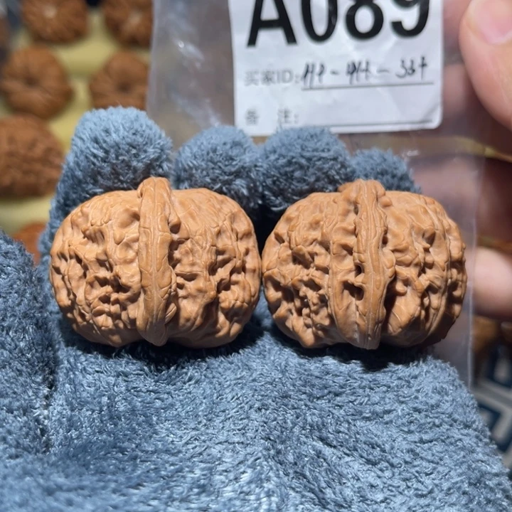 文玩核桃把件白狮子41全品