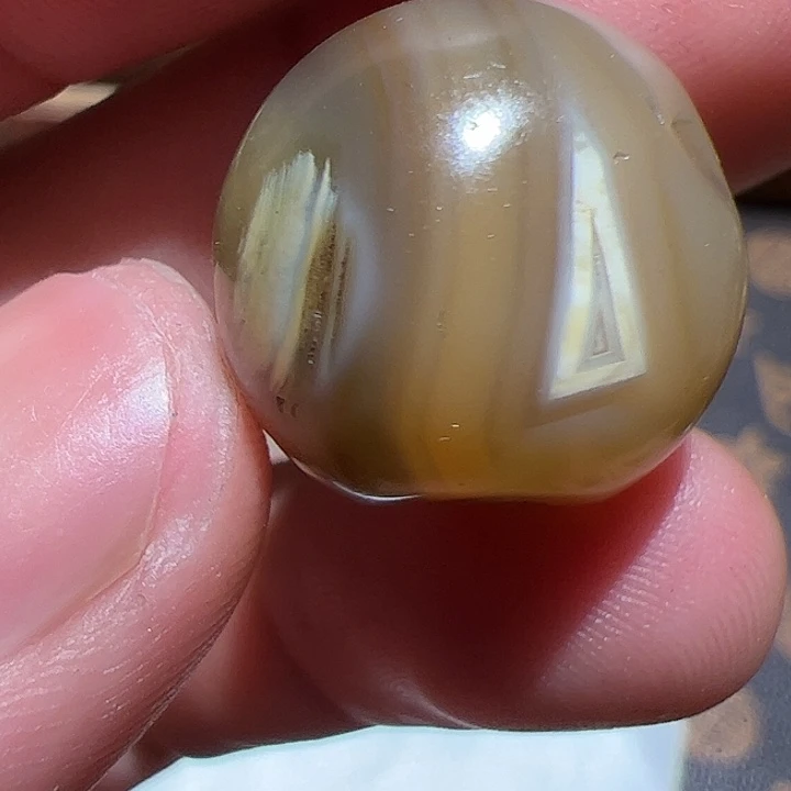 香榧木你的时候你