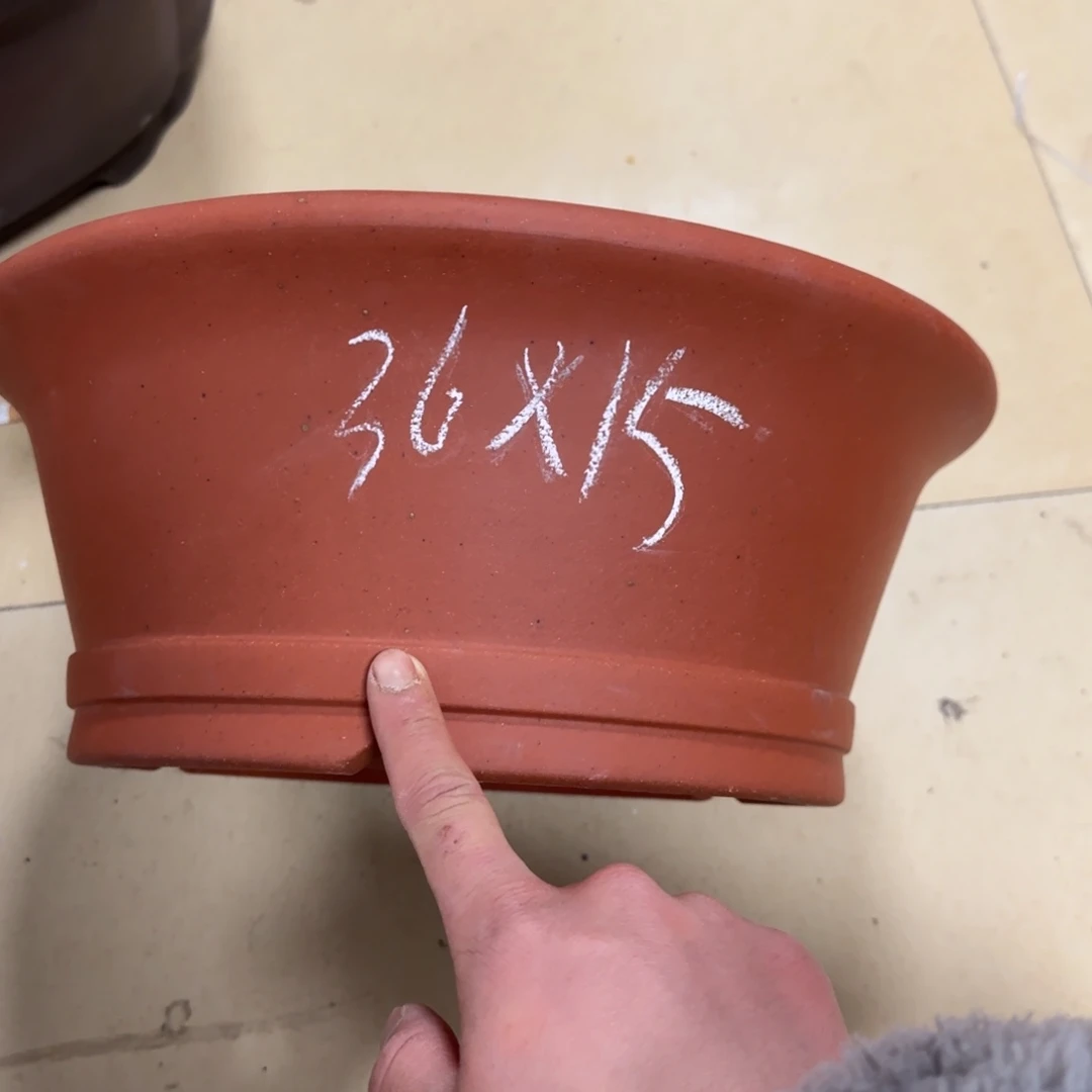 紫砂花盆呜呜呜我真的好