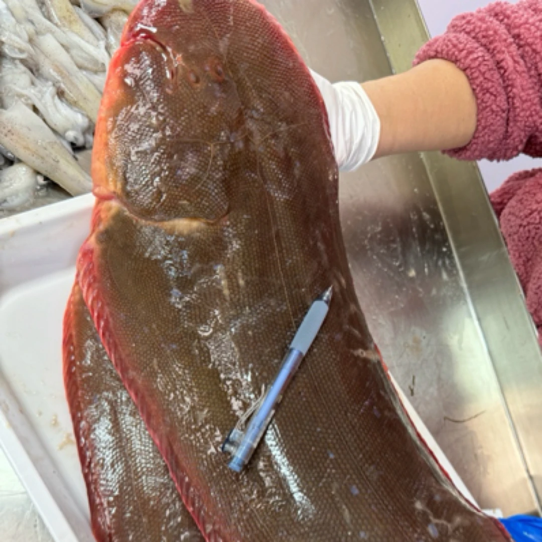 【渔三宝】渤海湾龙利鱼单条二斤以上独立包装 速冻发货顺丰到家