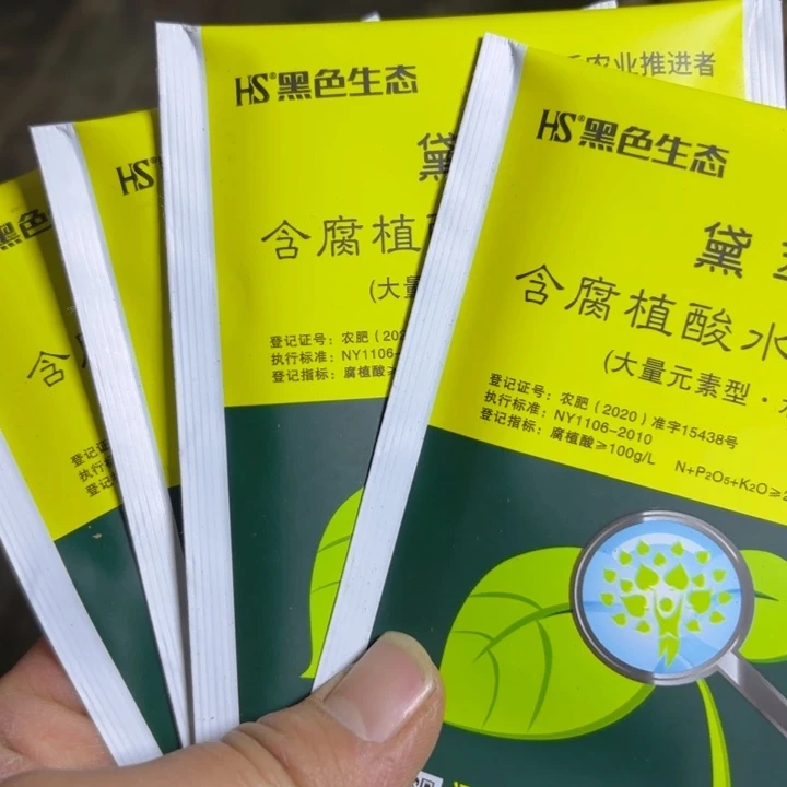 瑞妈多肉4包包邮