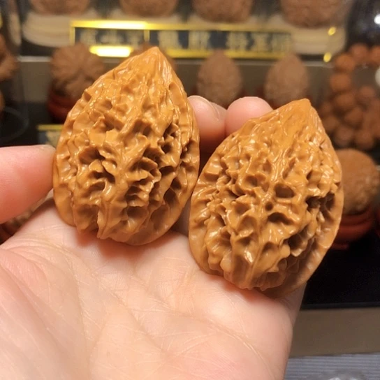 精品野生招财鼠全品