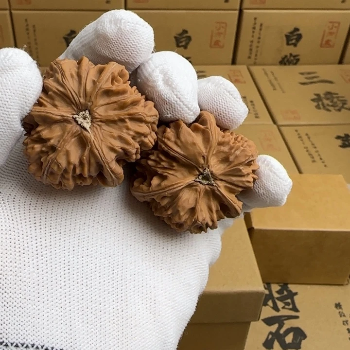 文玩核桃吊坠游***海简单包装玉龙三棱