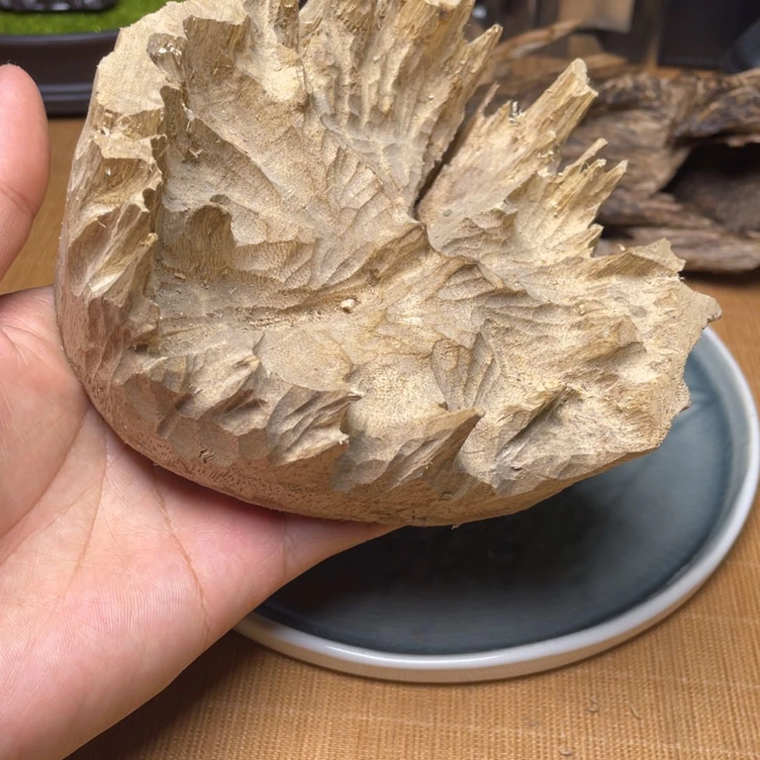 香榧木海南竹木根雕木料157克