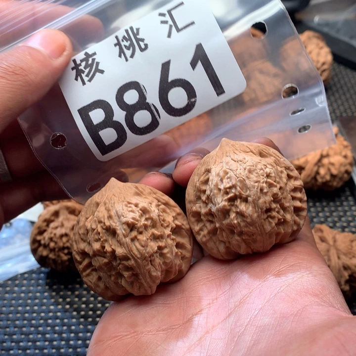 吊坠文玩核桃悟空寺