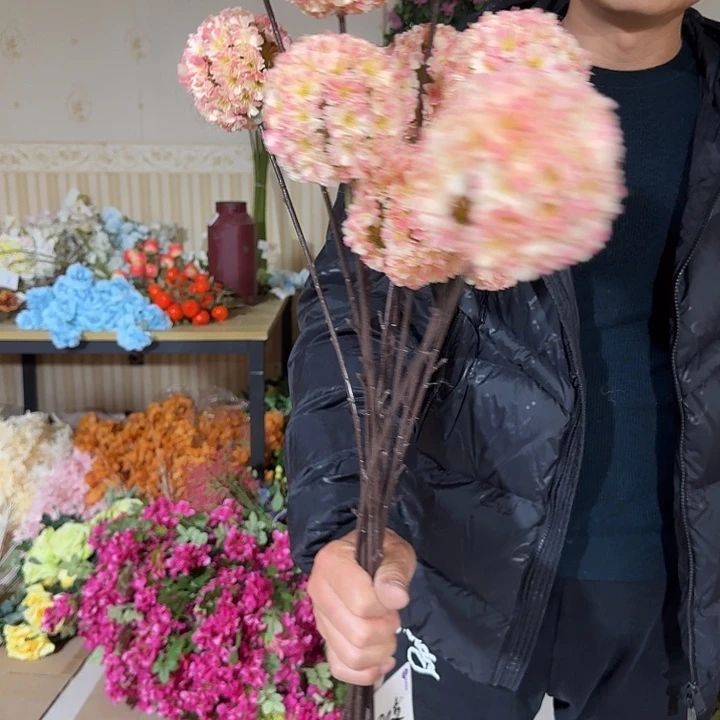 粉色大葱头10支装