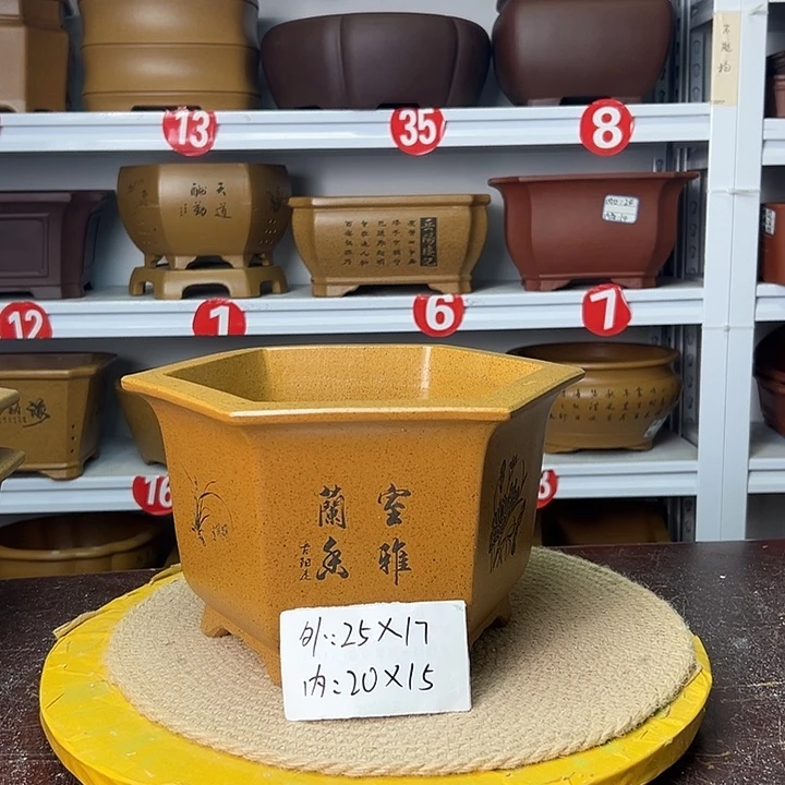 花盆紫砂你在一起