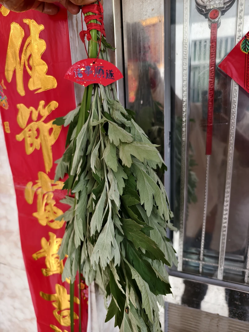端午节现摘新鲜艾草菖蒲花束可挂门窗吉祥艾草门挂艾叶