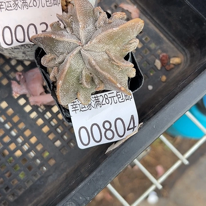 幸运的是我还没遇到