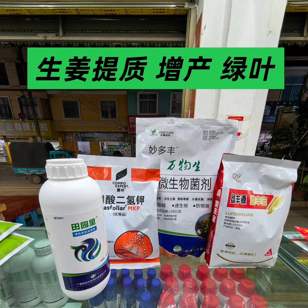 万物生 生姜提质绿叶套装 一套打20个喷雾器