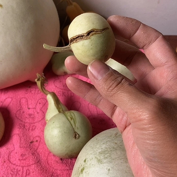 苦***华青皮腰子葫芦手把件