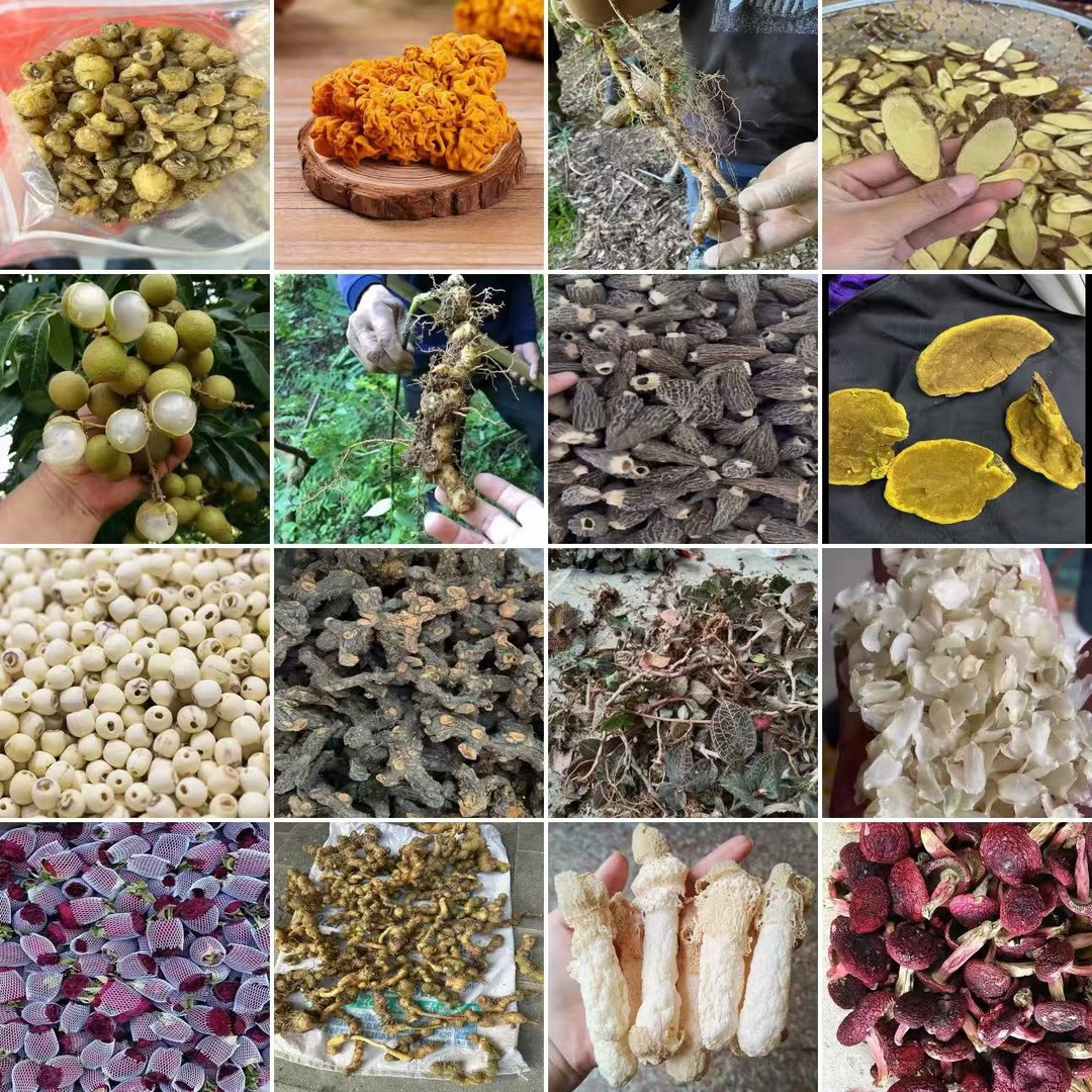 云南土特产链接临时链接菇