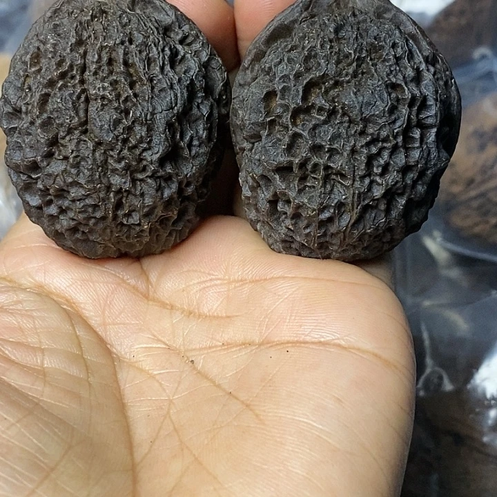 把件文玩核桃云南铁核桃25