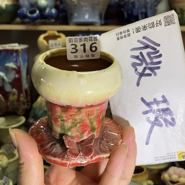 狼盆内口径5高度7