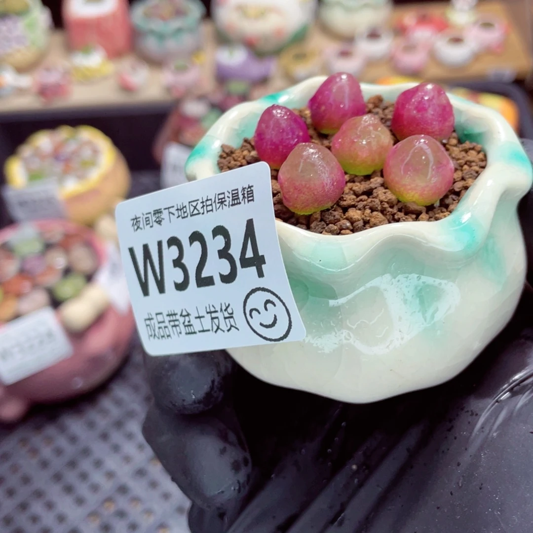 夜间零下地区拍保温箱w3234