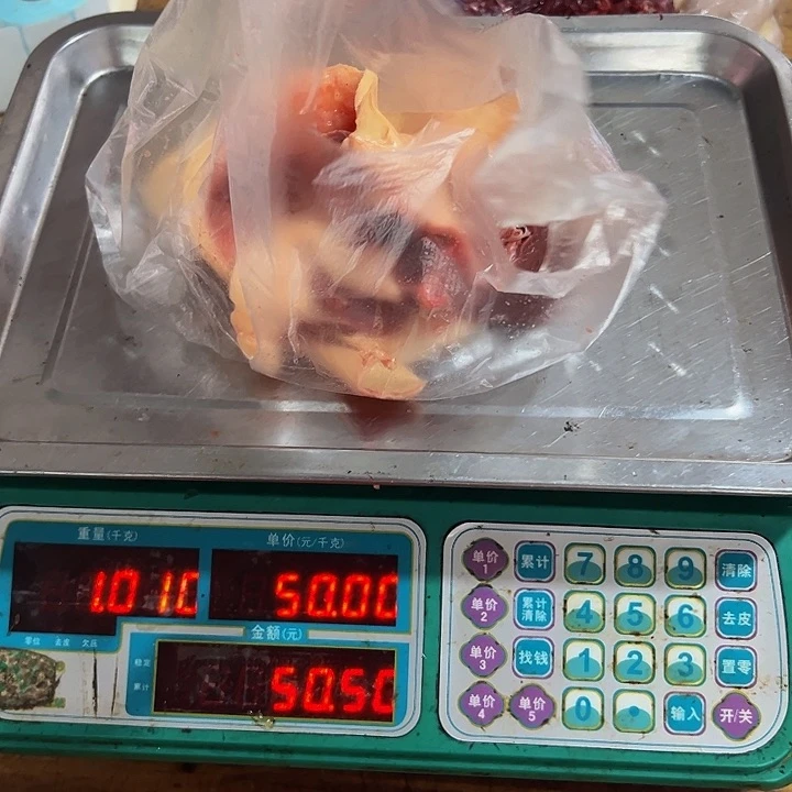 广西土耕马马肉、沙姜炒马肉中国大陆