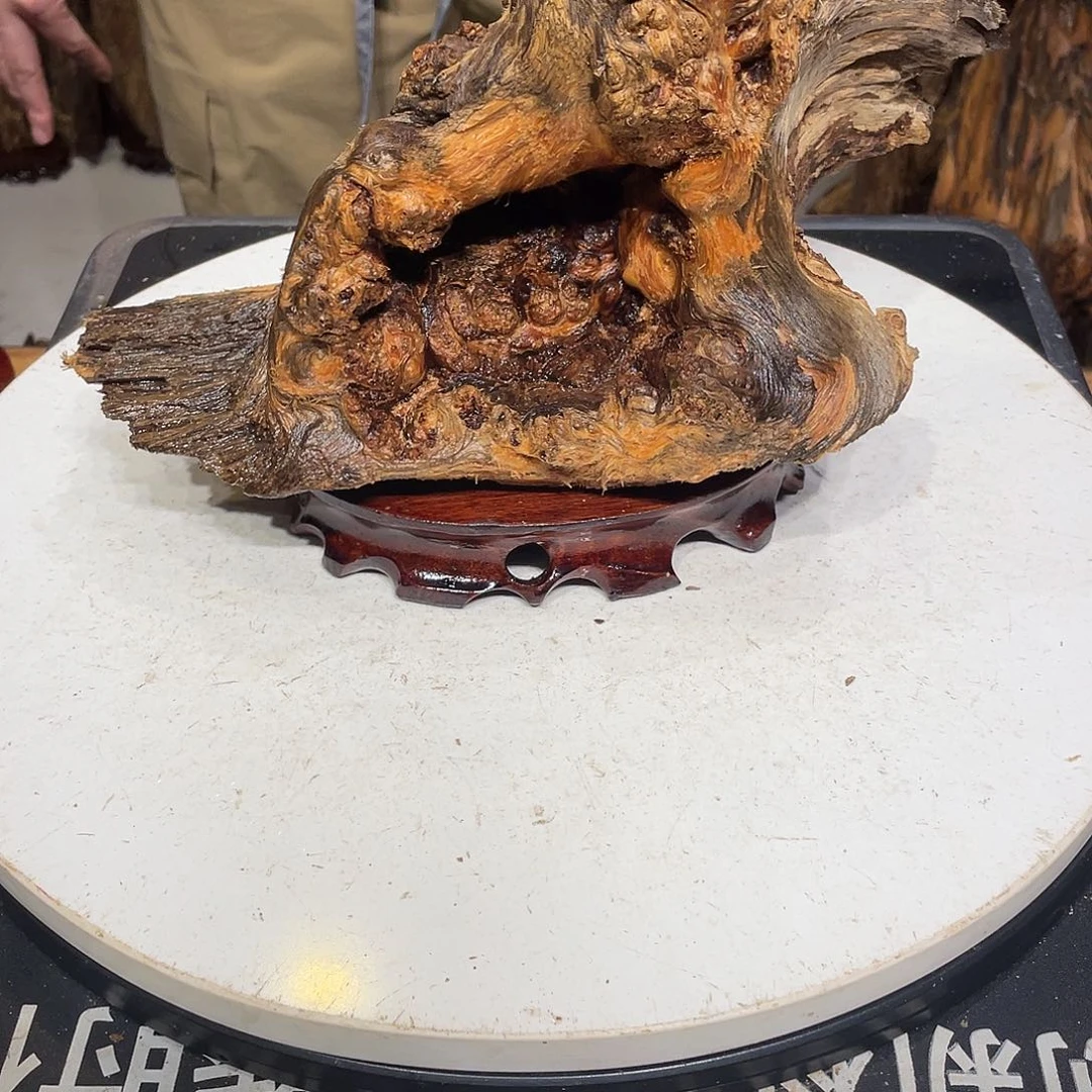 不***逗松木（琥珀木）北沉香