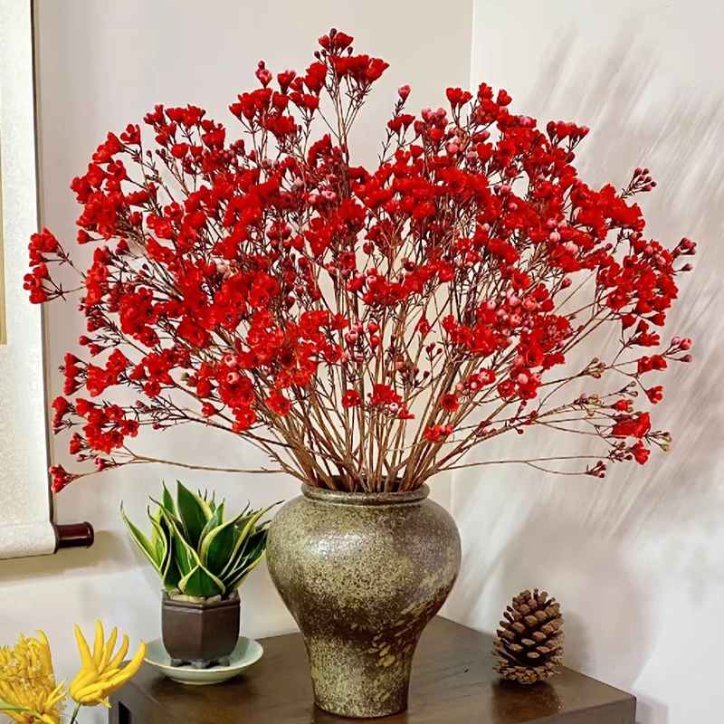 【腊梅】云南昆明直发一单包邮（发出不支持无理由退货拒收)