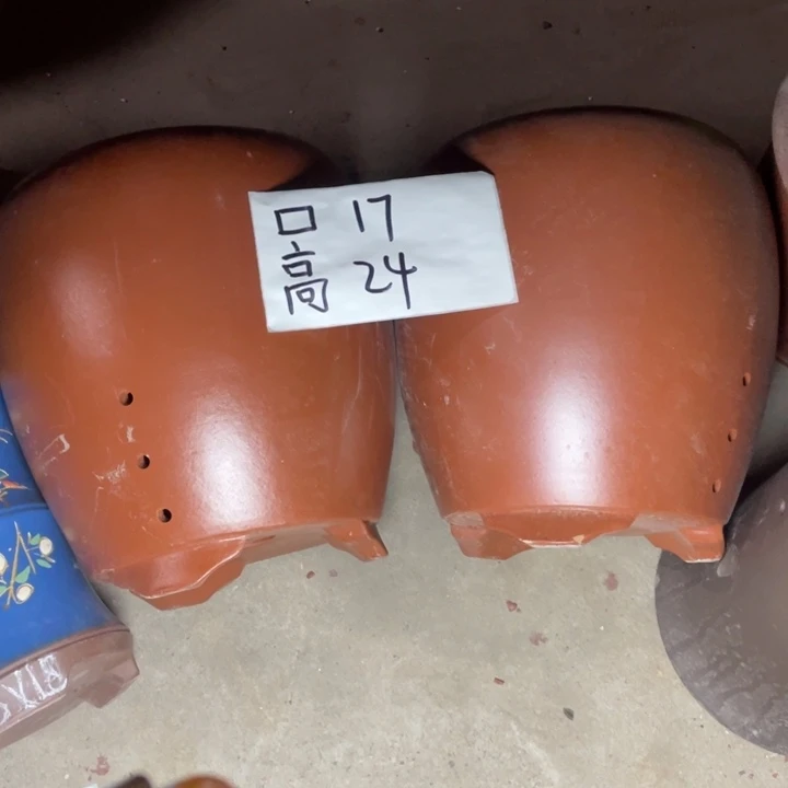 紫砂紫砂紫砂紫砂紫砂