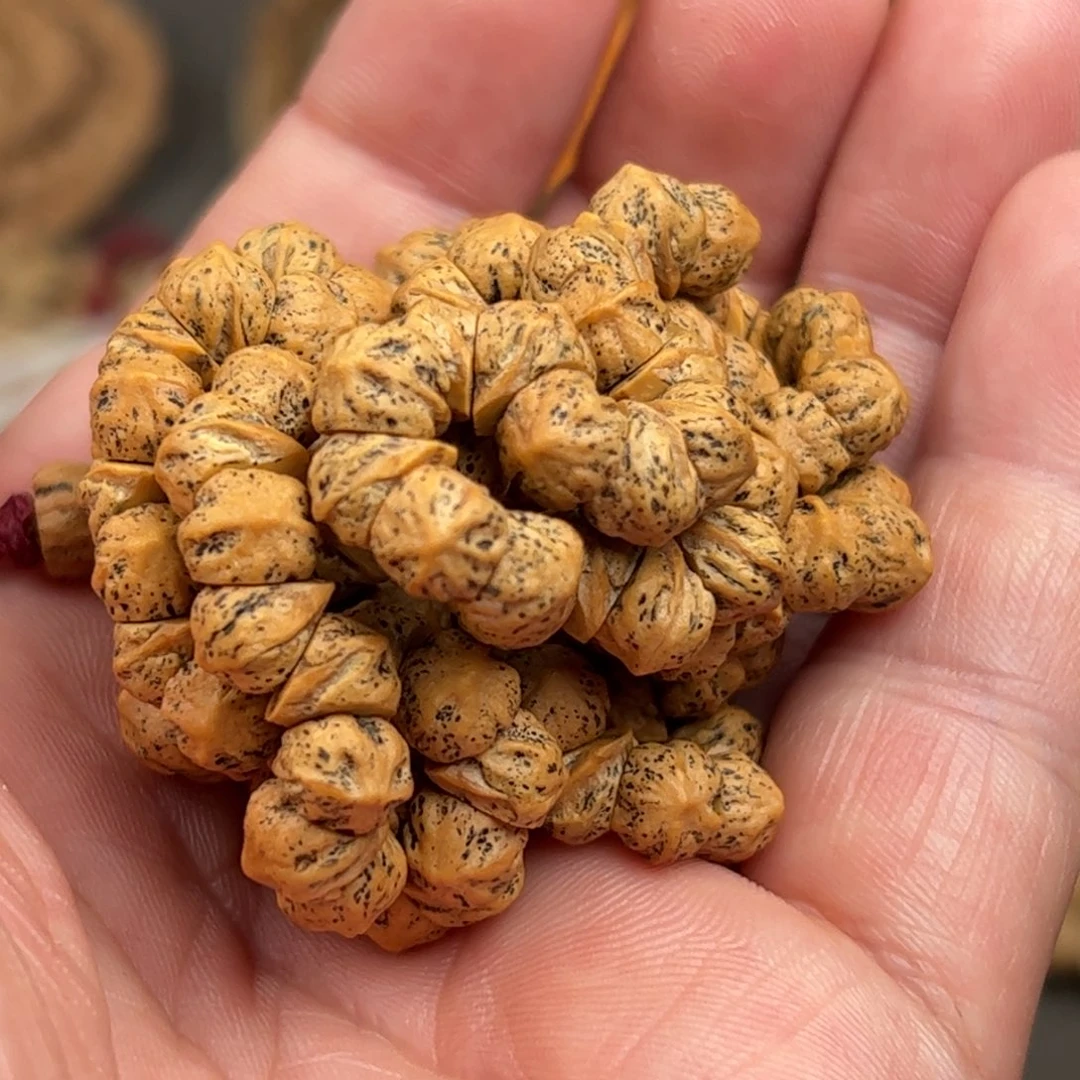 手串柏香籽/百香籽