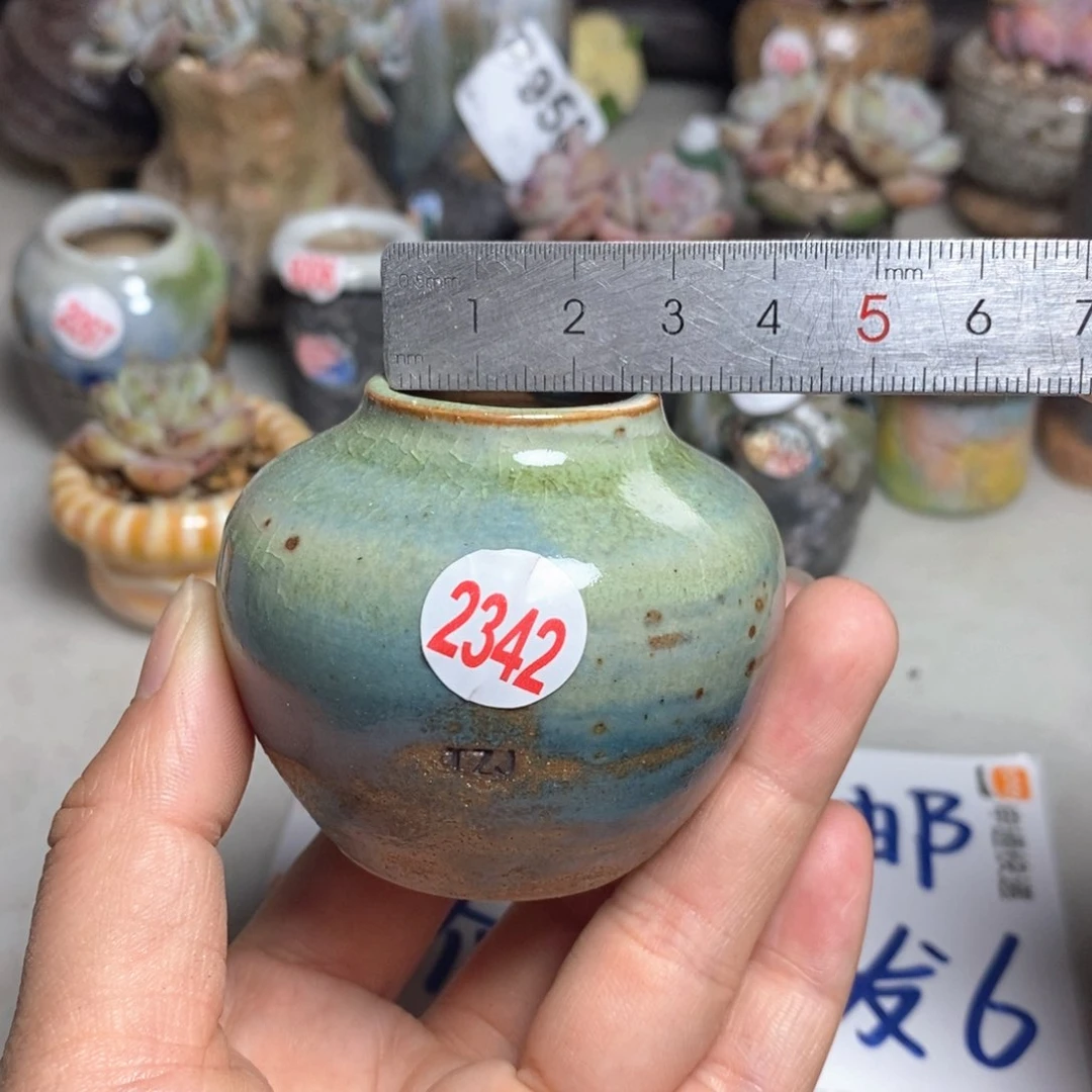 拍5送一个小礼物