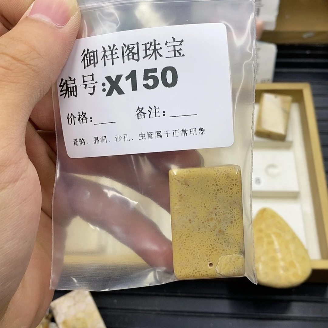 硅化珊瑚（珊瑚玉）未镶嵌颈饰高****本